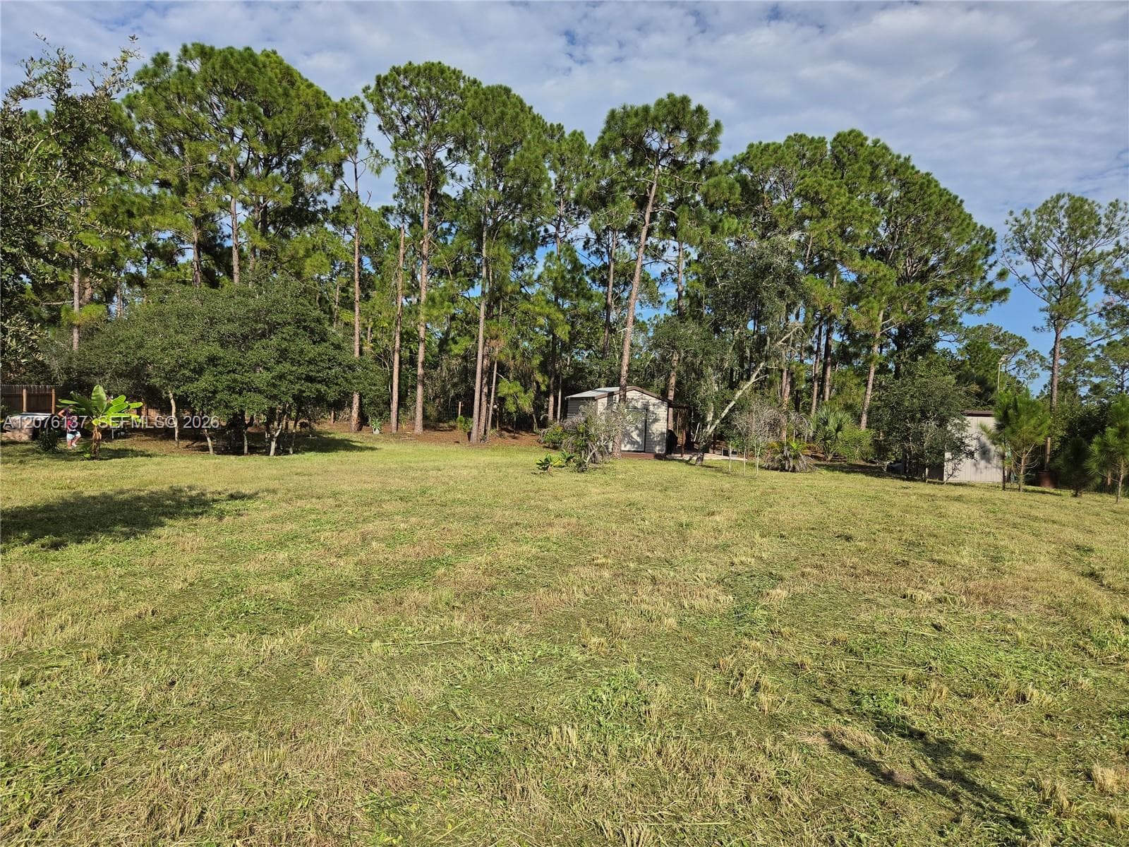 345 Rolling Hills Dr, Lake Placid FL 33852