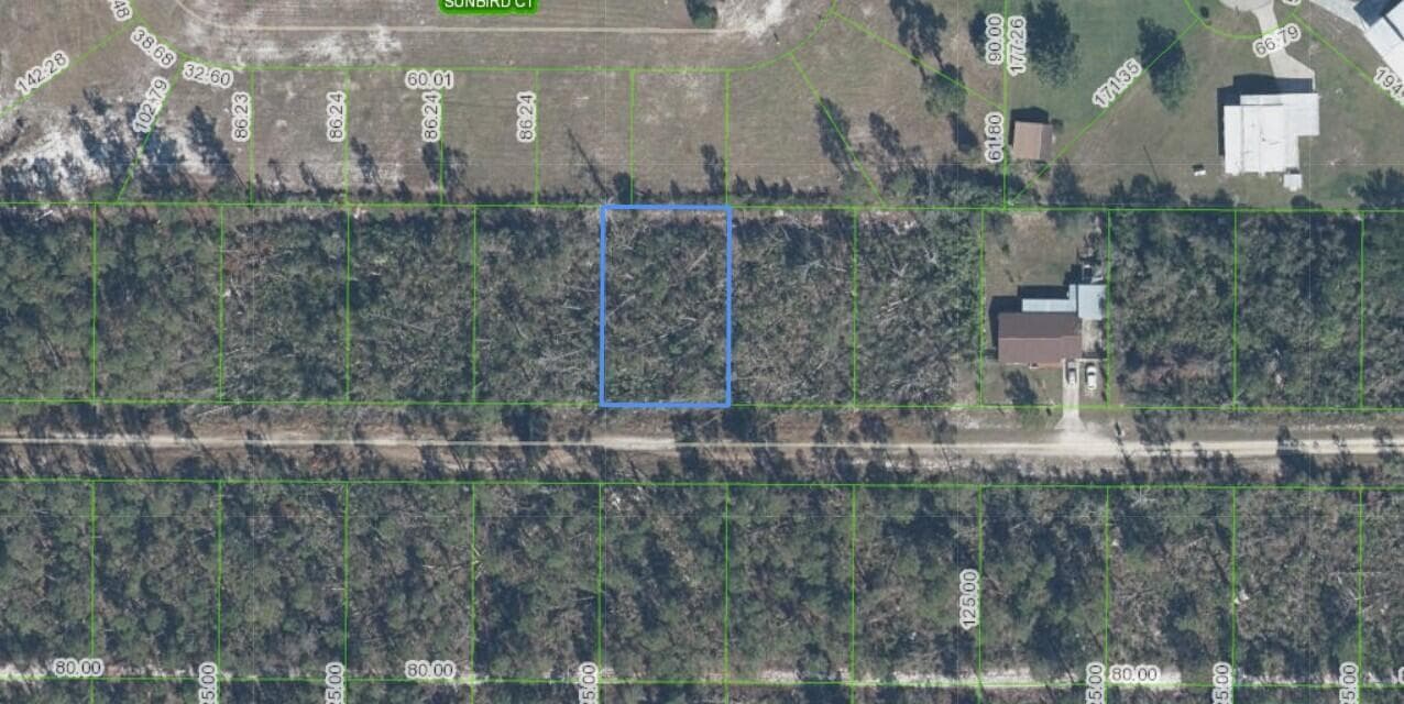436 NIGHTINGALE Avenue, Sebring FL 33870