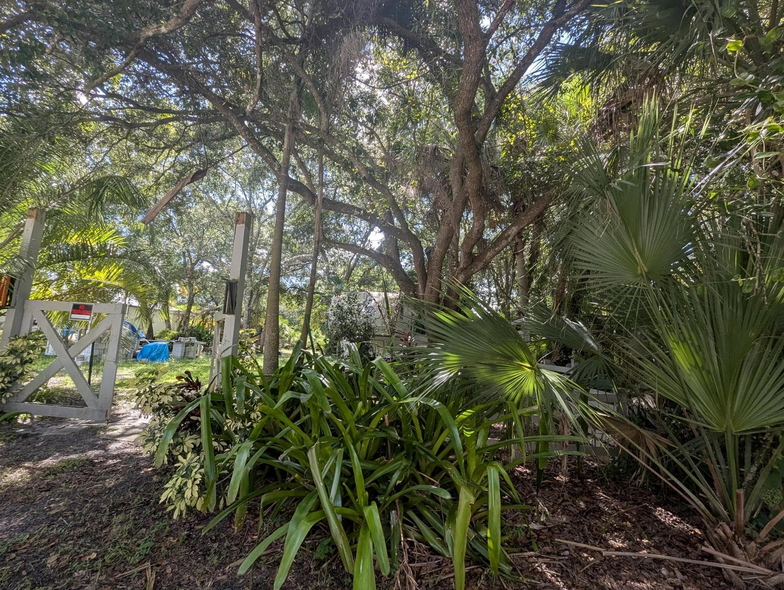 PIC 5