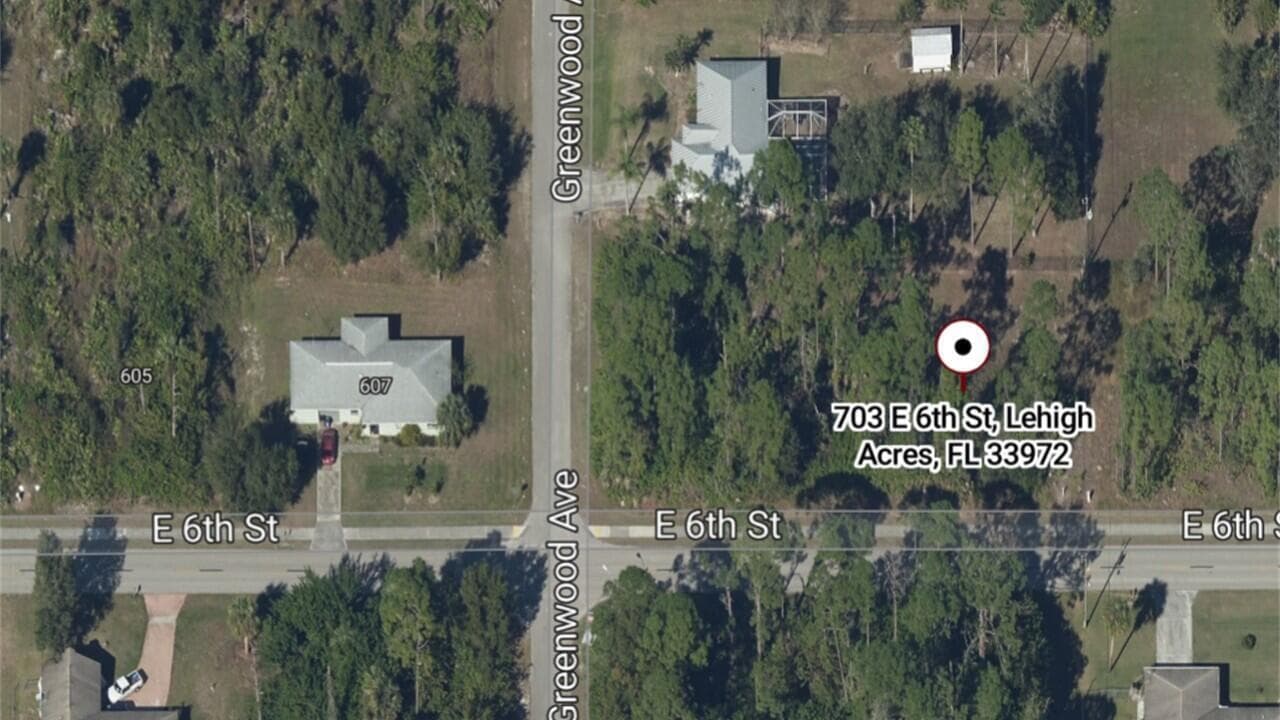 Bird view