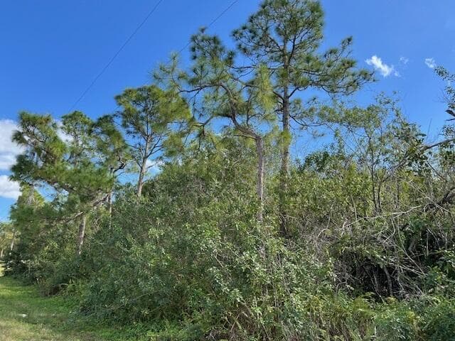 17992 94th Street N, Loxahatchee FL 33470