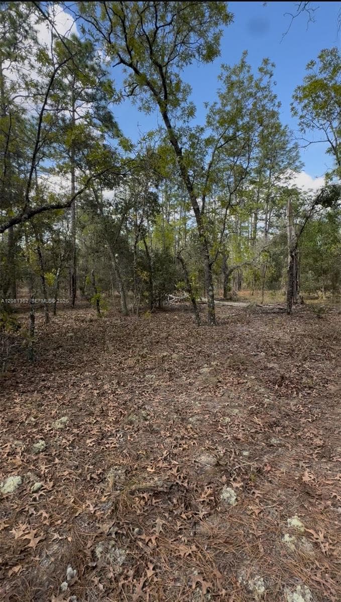 SW SW INDIAN HILL DR, Ocala FL 34431