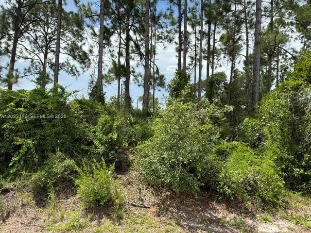 3607 Peugeot St, Sebring FL 33872
