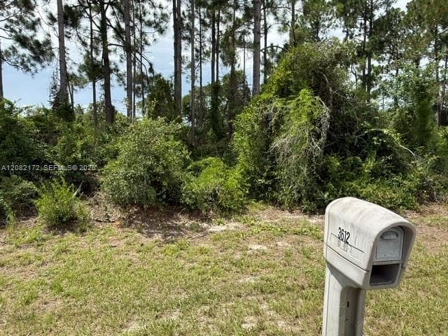 3607 Peugeot St, Sebring FL 33872
