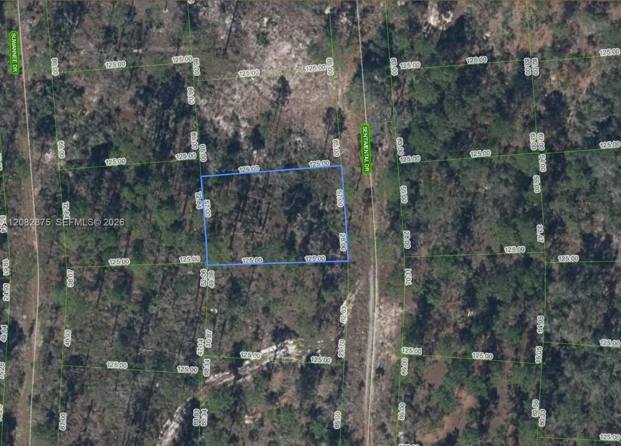 264 Sentimental Dr, Lake Placid FL 33852