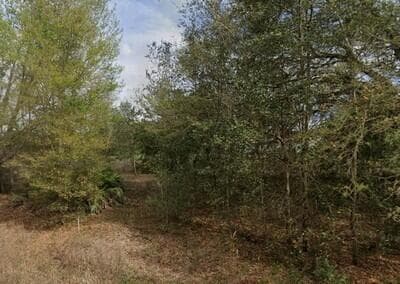 Tba Lenore Avenue, FL 32148