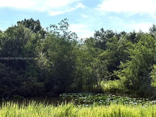 2524 Gem Stone Ave, Lorida FL 33857