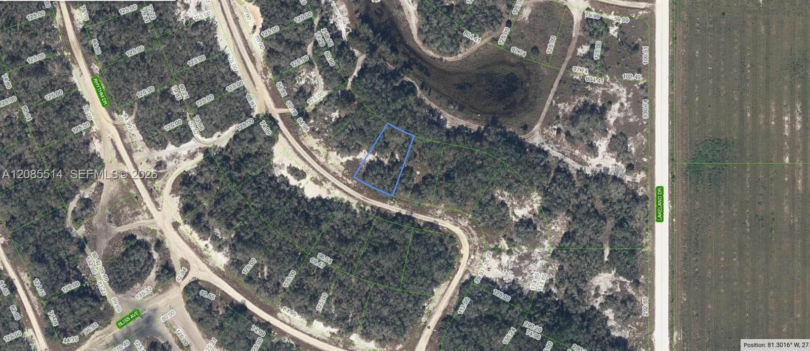 213 Dargen Dr, Lake Placid FL 33852