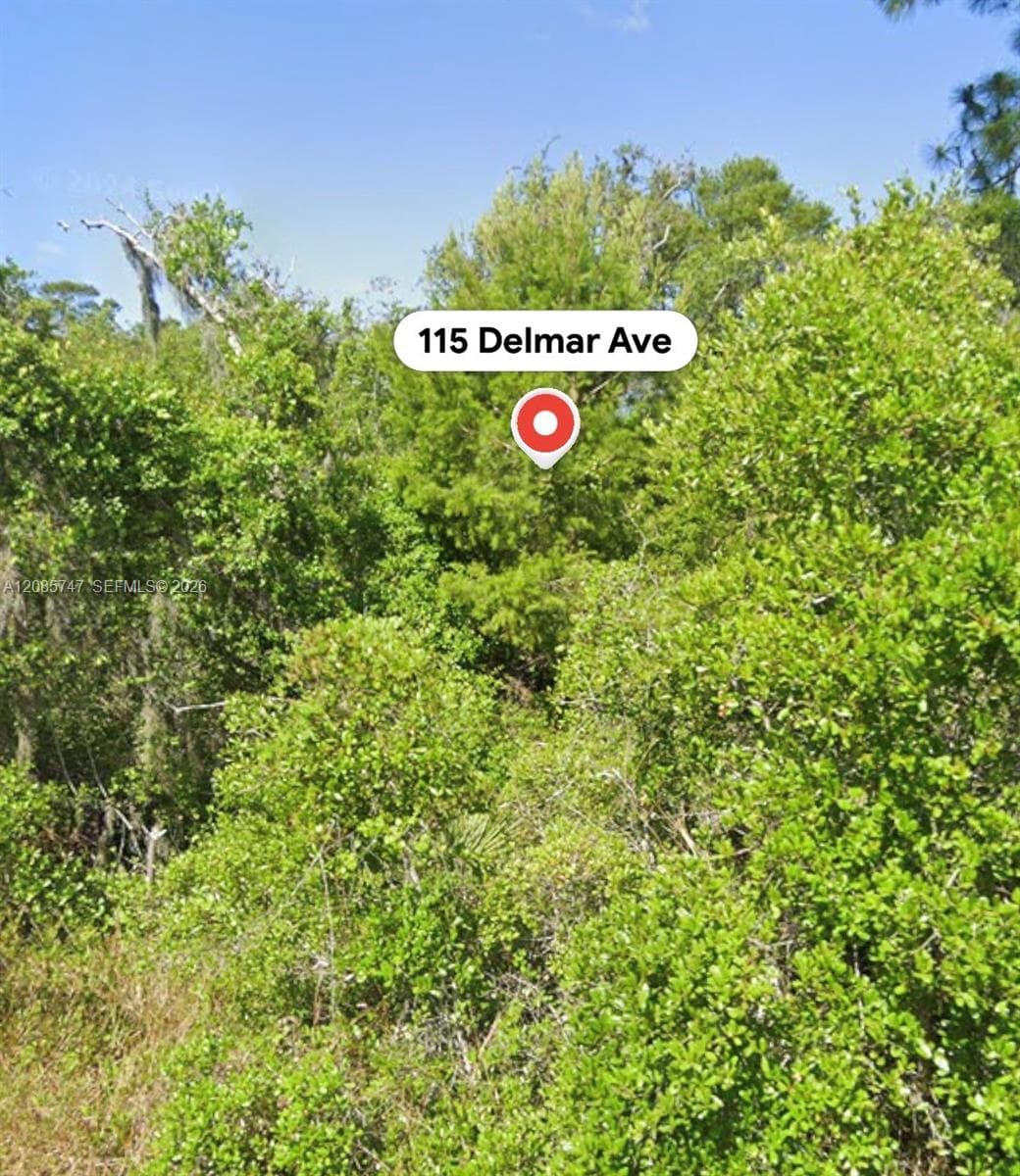 115 Delmar Ave, Lake Placid FL 33852