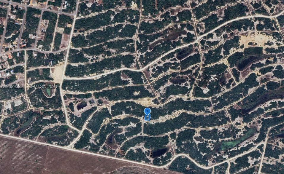 238 Dargen Drive, Lake Placid FL 33852