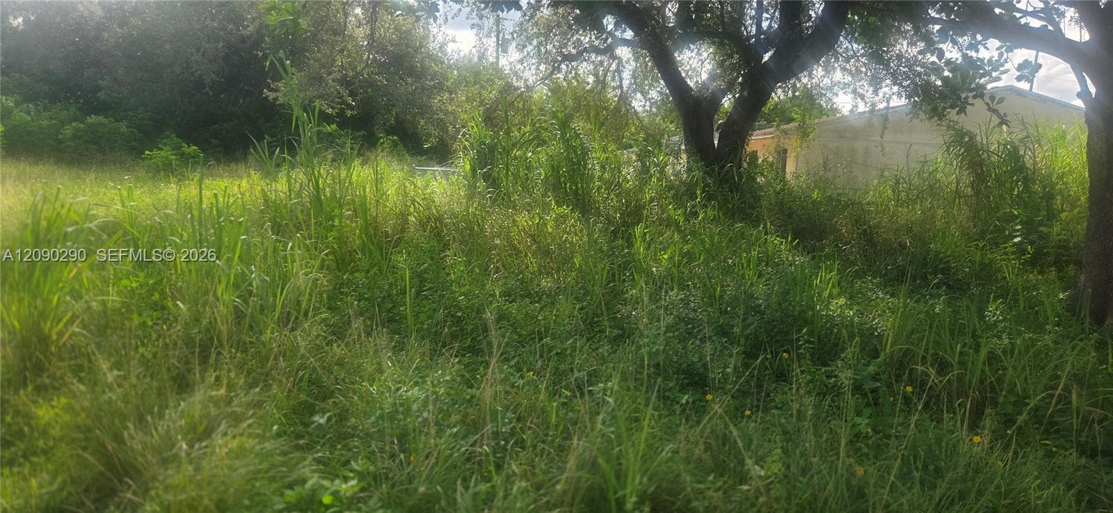 143XX SW 272 St., Homestead FL 33032
