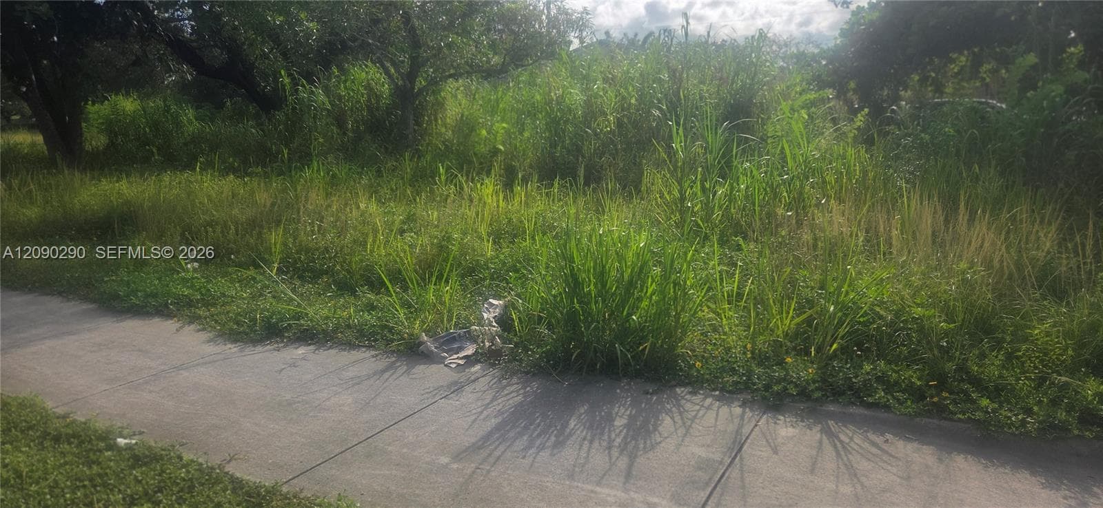 143XX SW 272 St., Homestead FL 33032