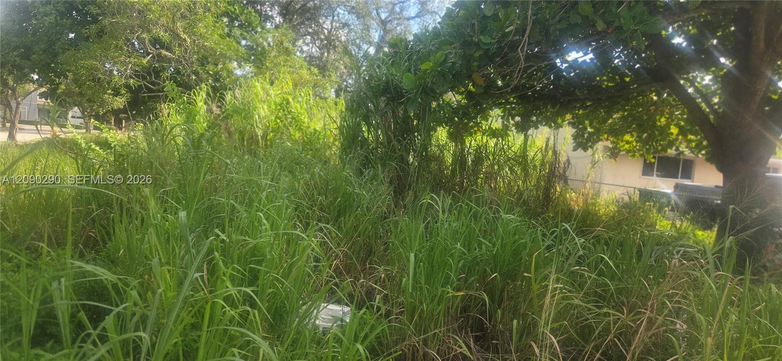 143XX SW 272 St., Homestead FL 33032