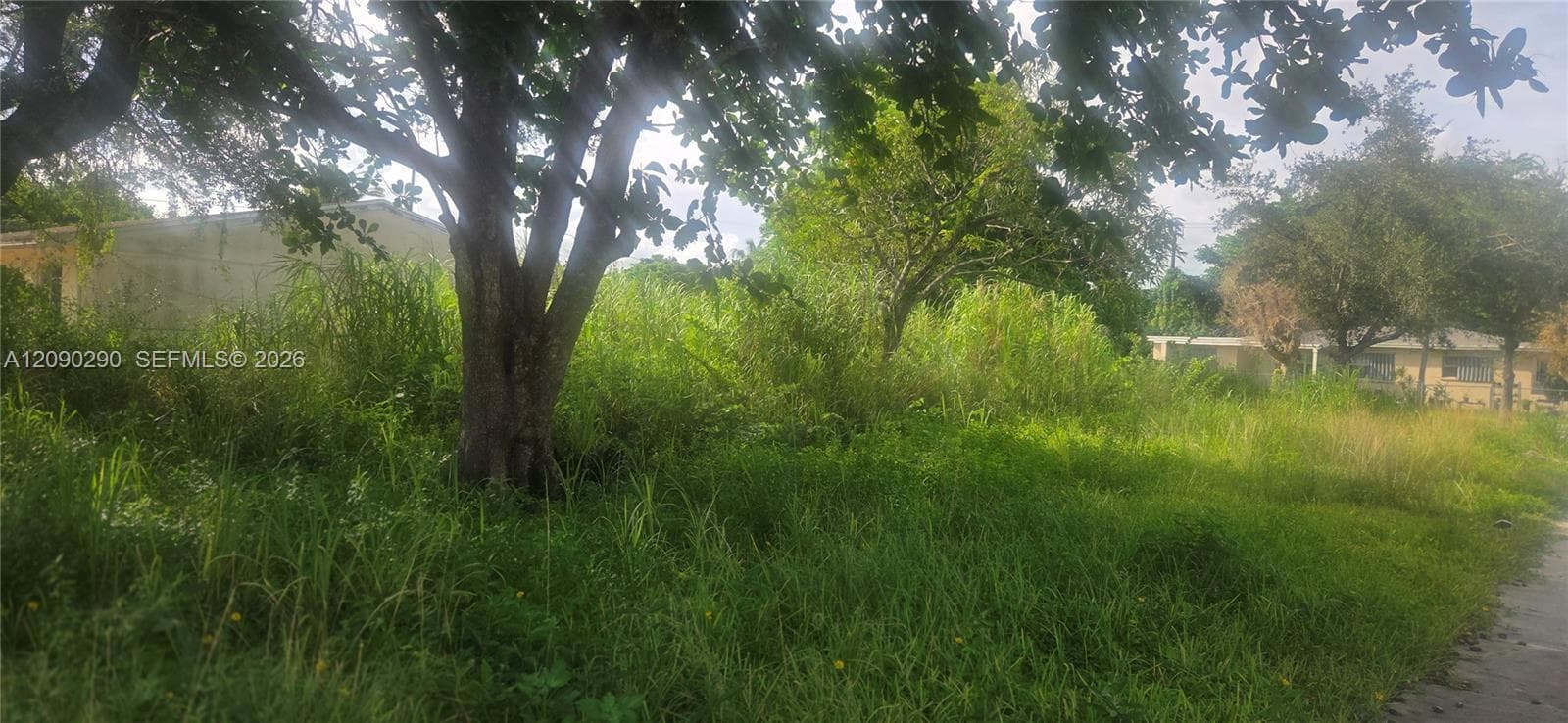 143XX SW 272 St., Homestead FL 33032