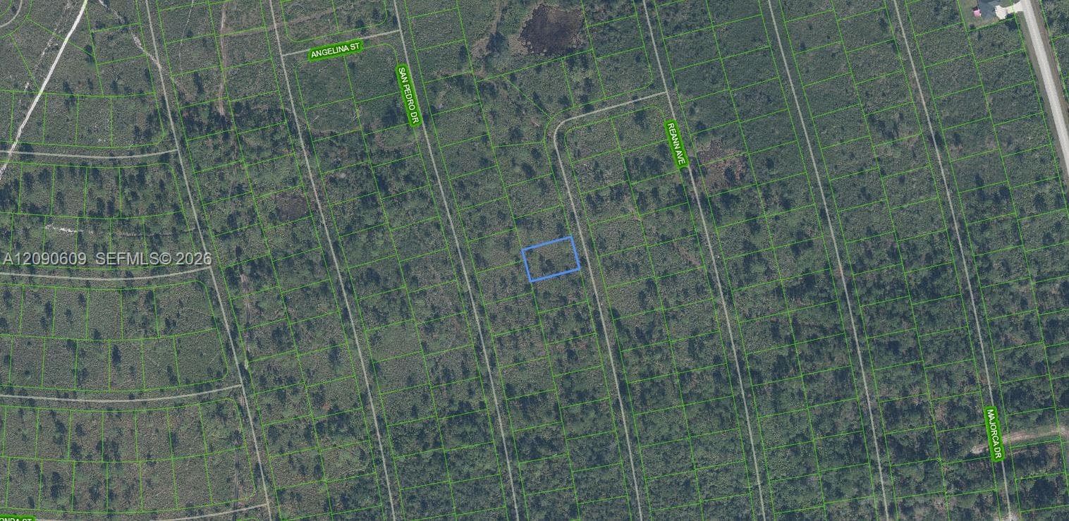 4509 Rosaro Ave, Sebring FL 33872