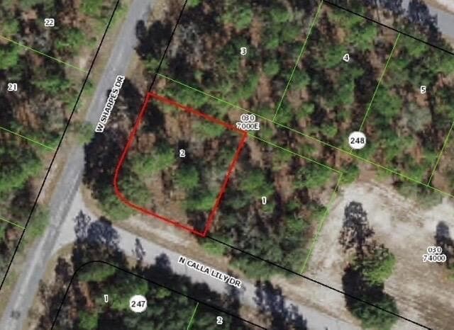 9735 N CALLA LILY Way, FL 34433