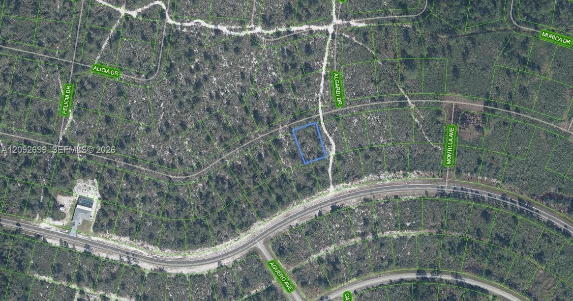 7651 Rosebud Drive, Sebring FL 33872