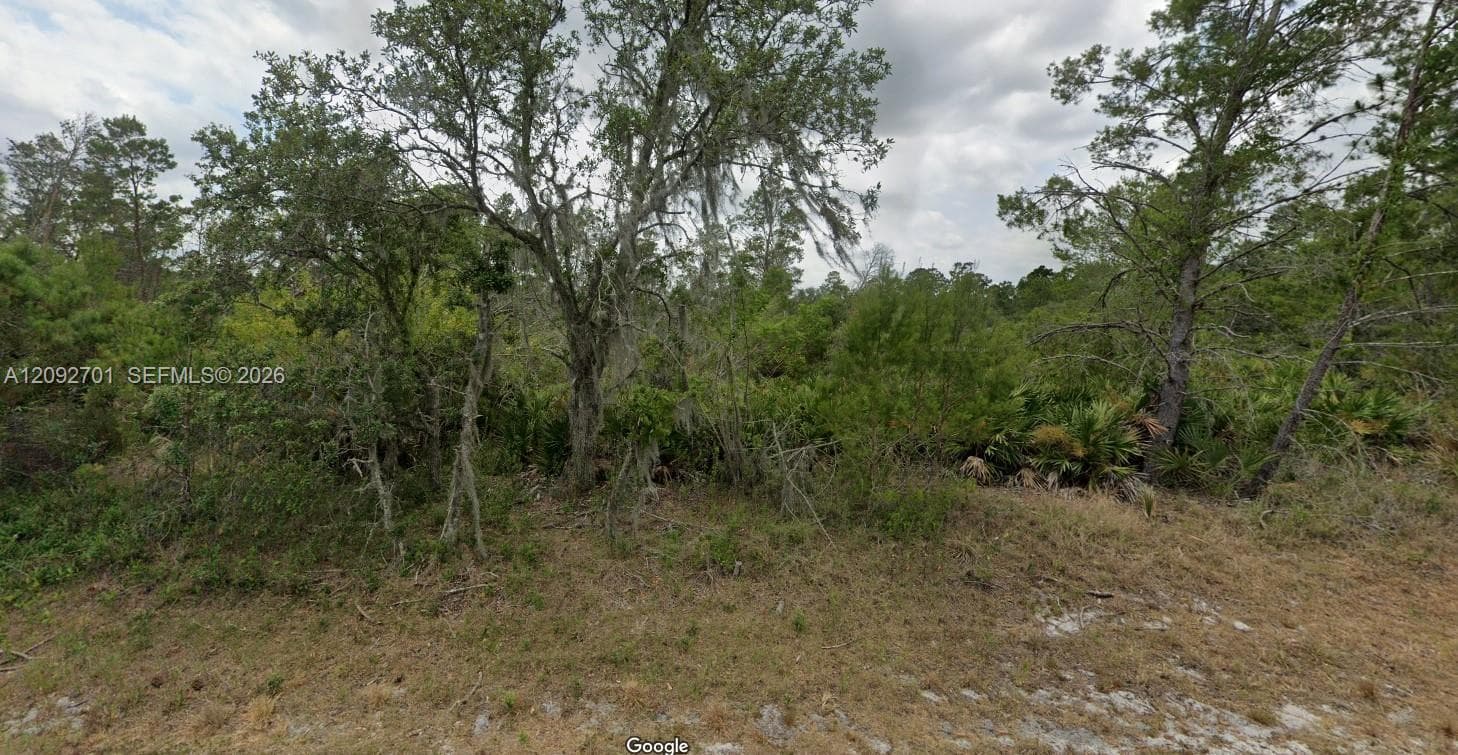 8005 Campo Sano Street, Sebring FL 33872