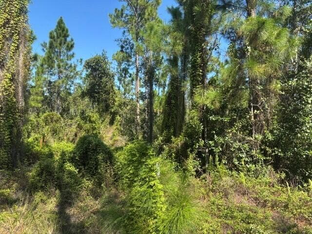0 Hwy 630e, Frostproof FL 33843