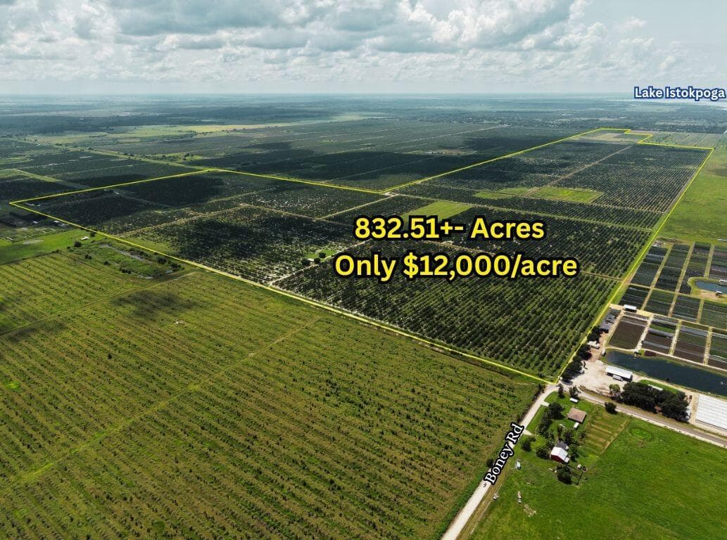 17515 BONEY Road, Sebring FL 33870