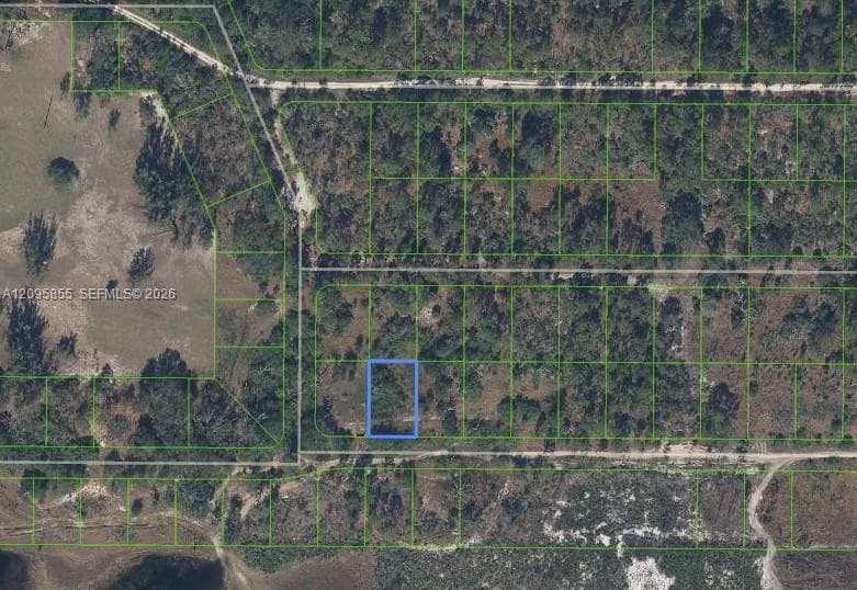 208 Claverton Drive, Lake Placid FL 33852