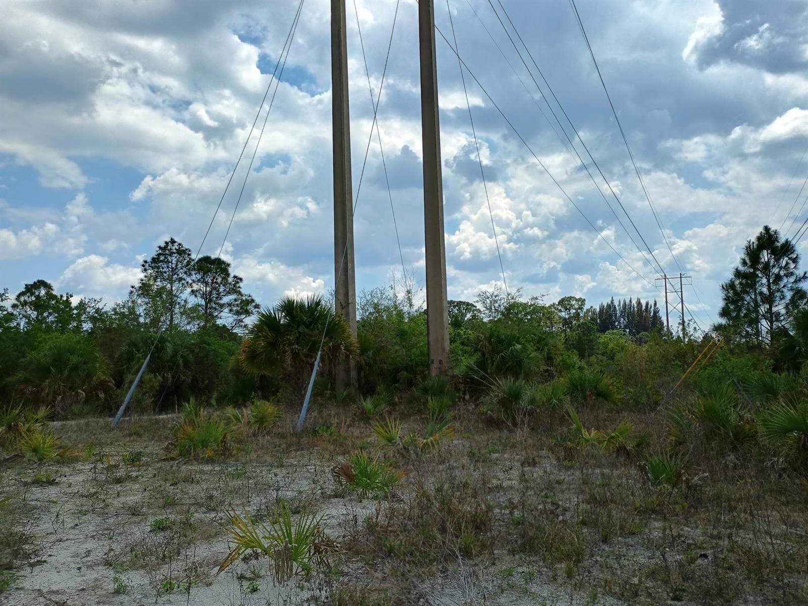 0 SW citrus Street SW, Palm City FL 34990