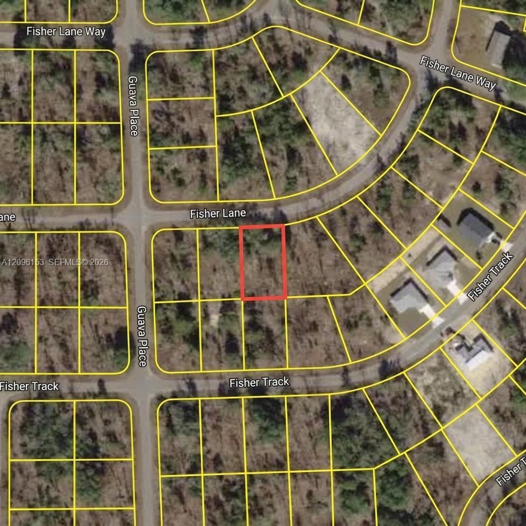 Fisher Ln OCKLAWAHA, FLORIDA, Other City - In The State Of Florida FL 32179