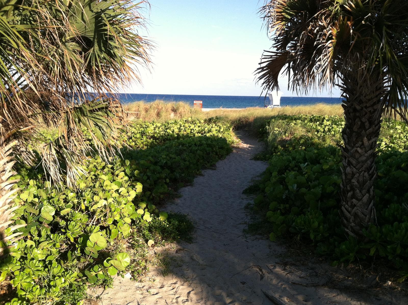 DelrayBeachX1