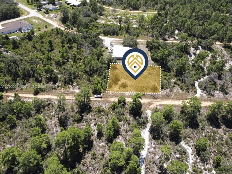 3055 W Lundelius Rd, Avon Park FL 33825