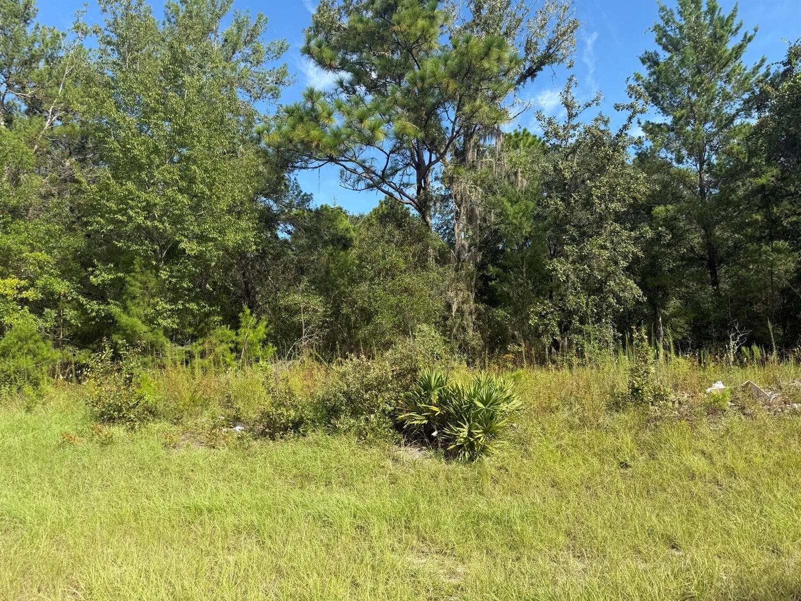 79th terrace Road dunnellon fl 34432 2