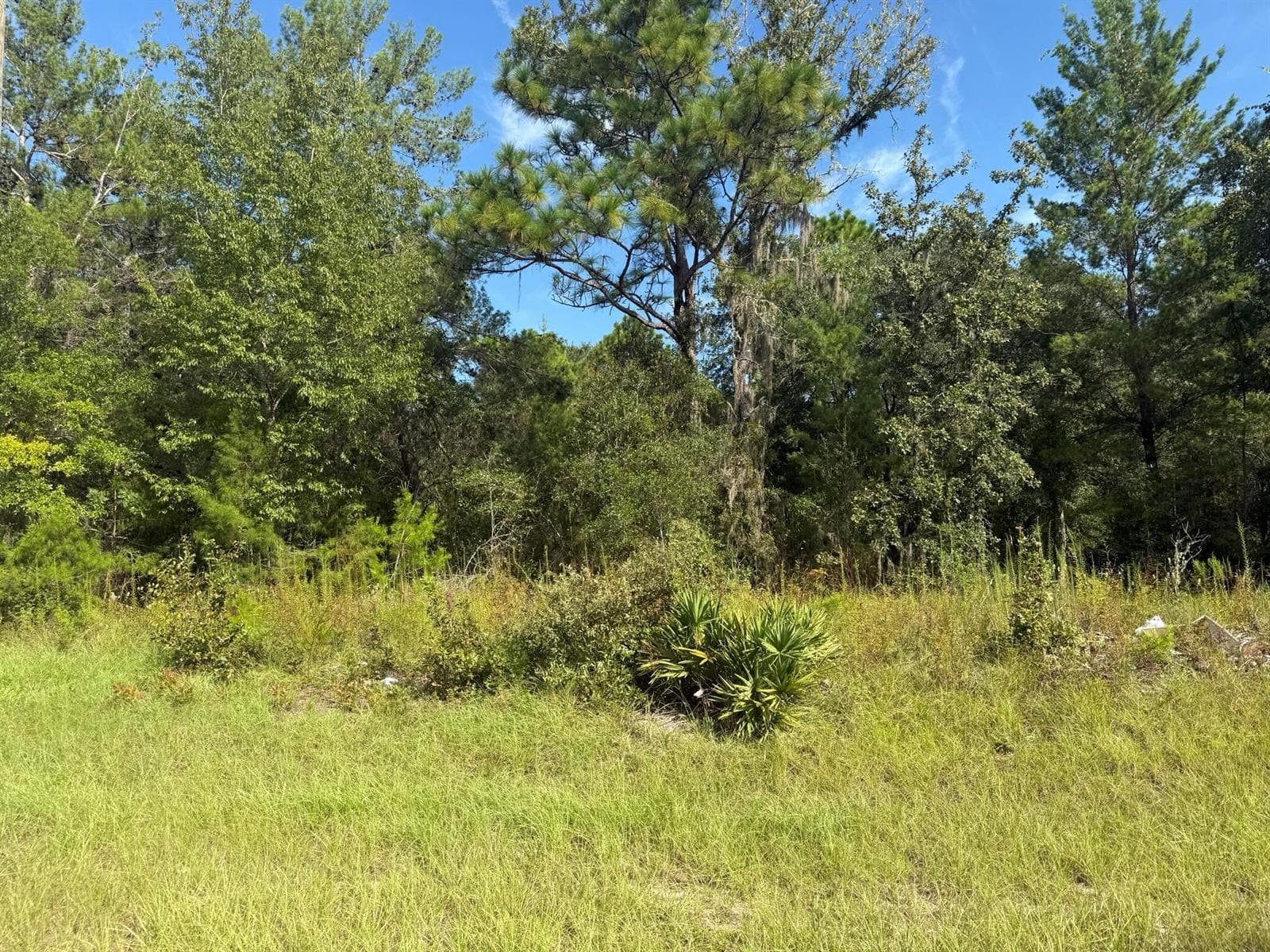 Tbd 79th terrace Road, FL 34432