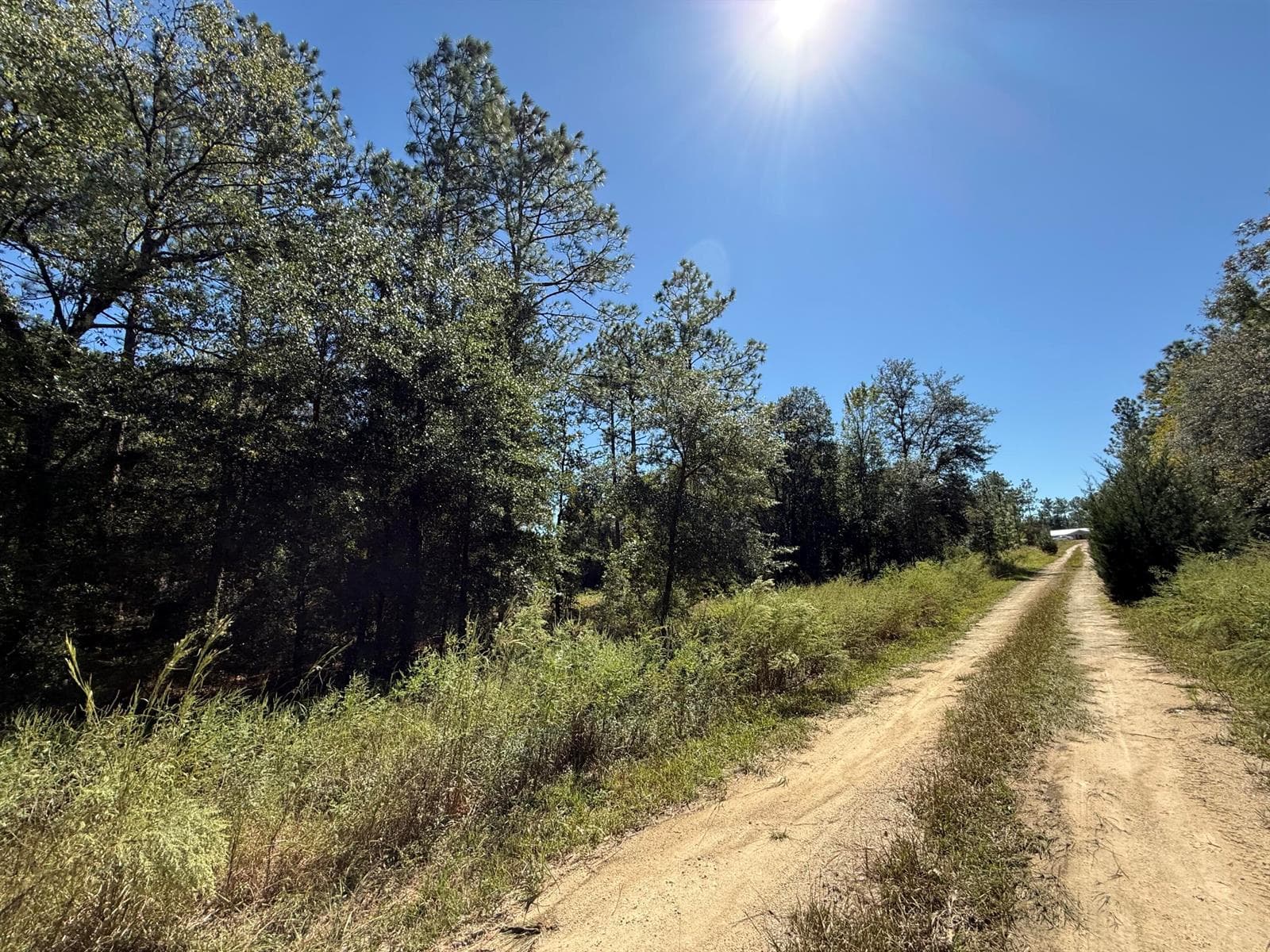 Unpaved Road to lot