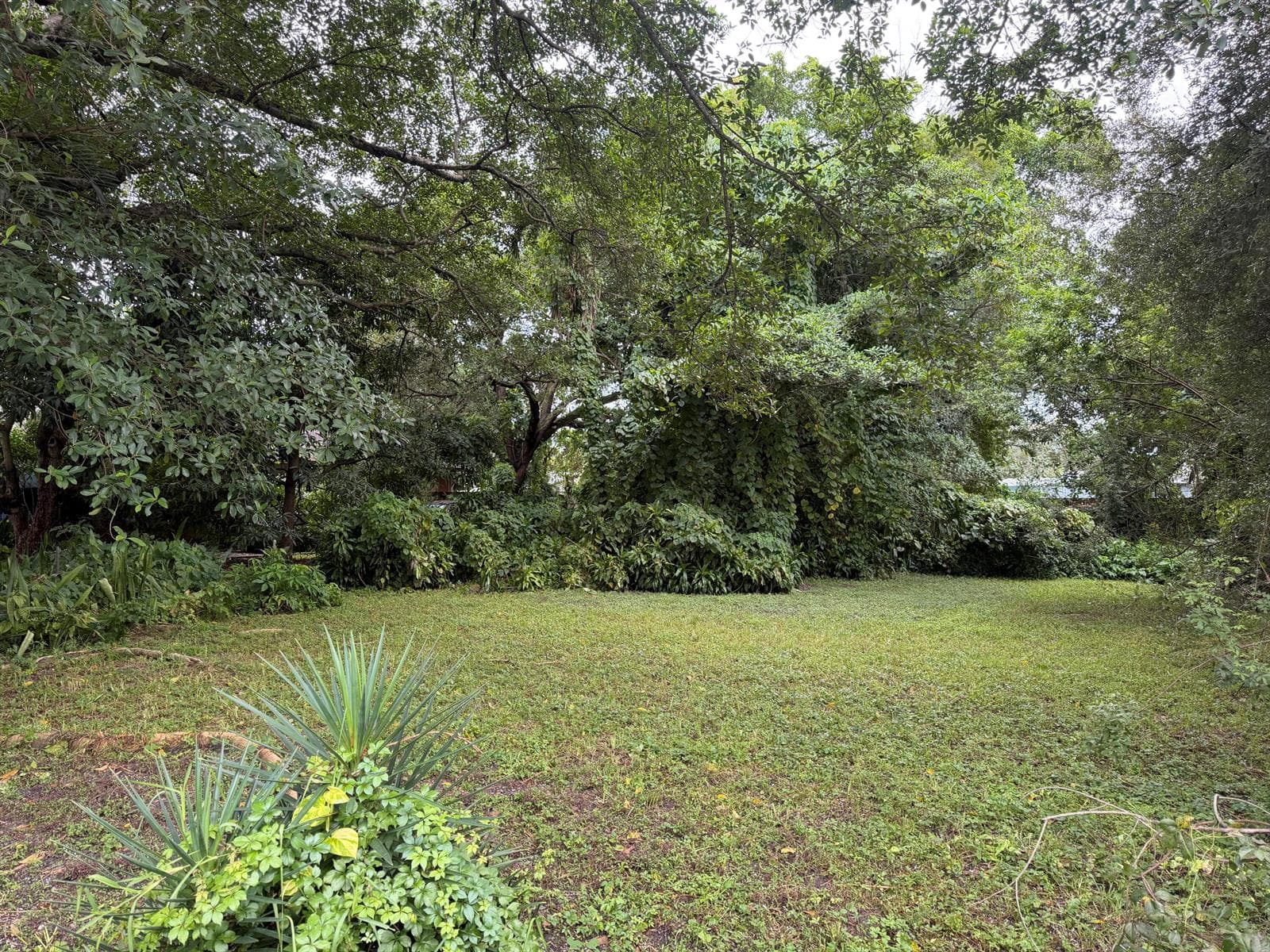 5814 LINCOLN Street, Hollywood FL 33021