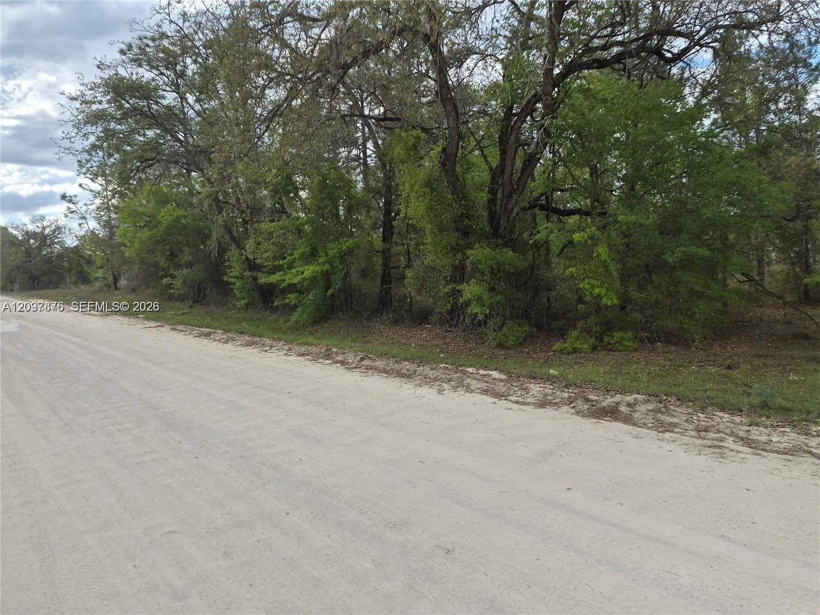 00 NE NE 4th St, Williston FL 32696