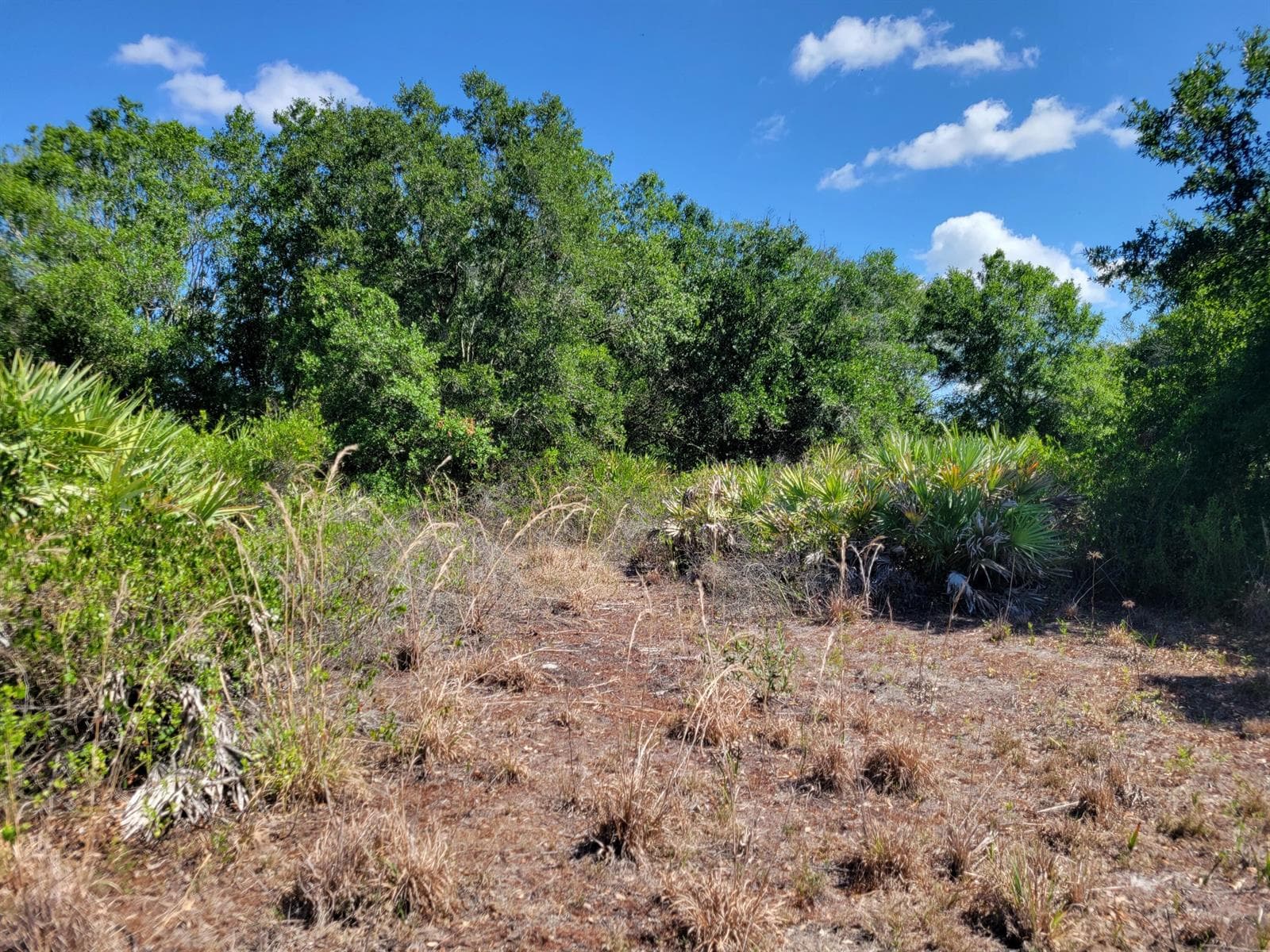 17591 NW 280TH Street, Okeechobee FL 34972