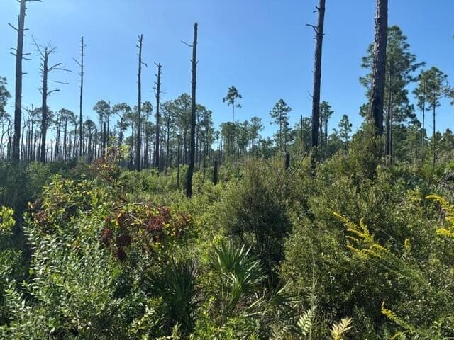 0 Hwy 630e, Frostproof FL 33843