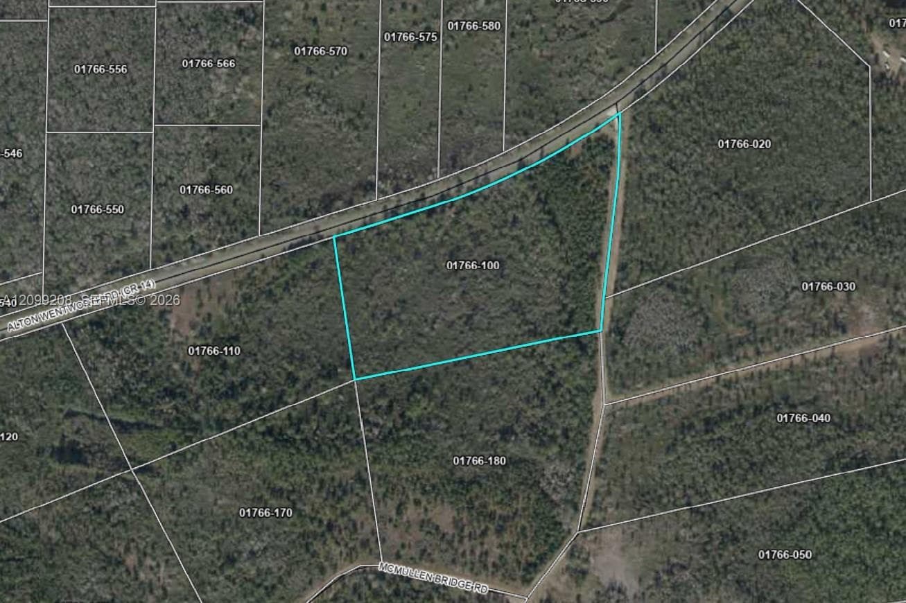 . McMullen Bridge Rd, Other City - In The State Of Florida FL 32331