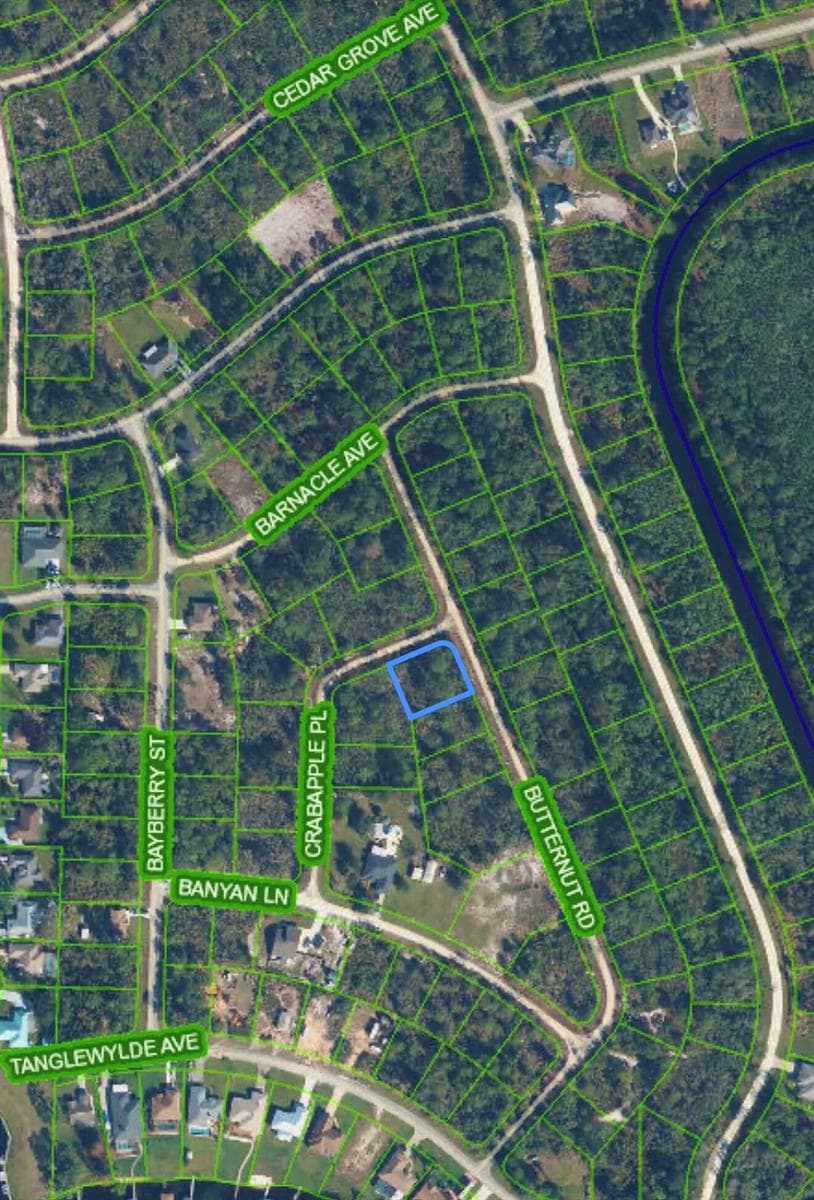 1123 CRABAPPLE Place, Lake Placid FL 33852