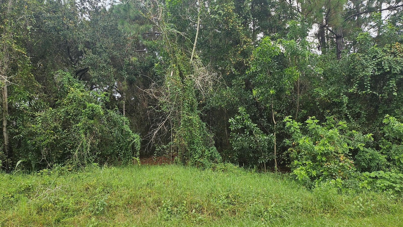 5439 NW Thyer Circle, Port St. Lucie FL 34983