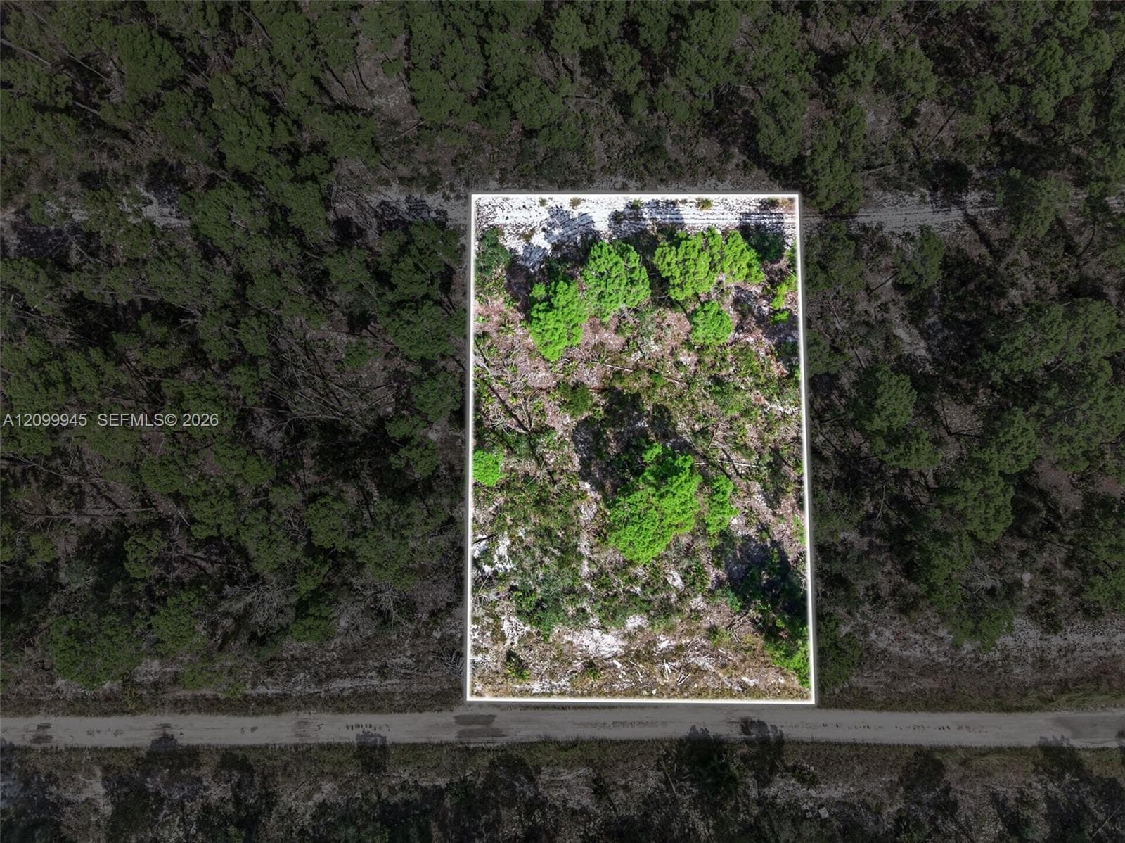 431 Hummingbird ave, Sebring FL 33872