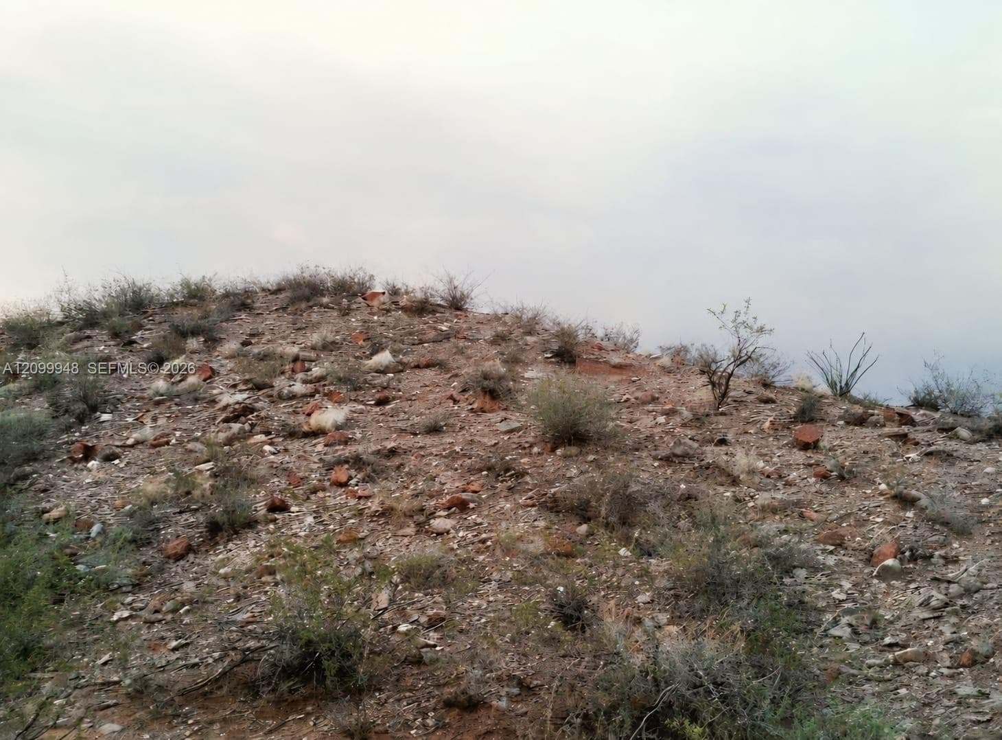 Van Horn Hudspeth, TX 79855