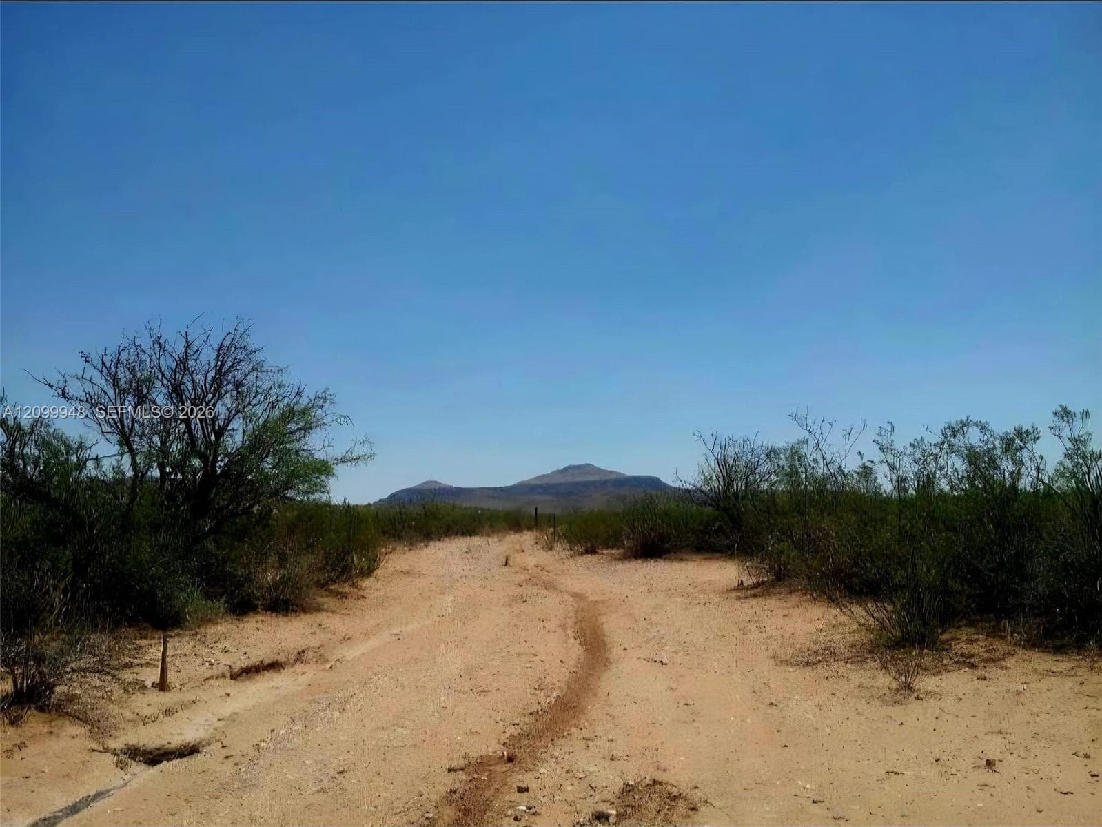 Van Horn Hudspeth, TX 79855