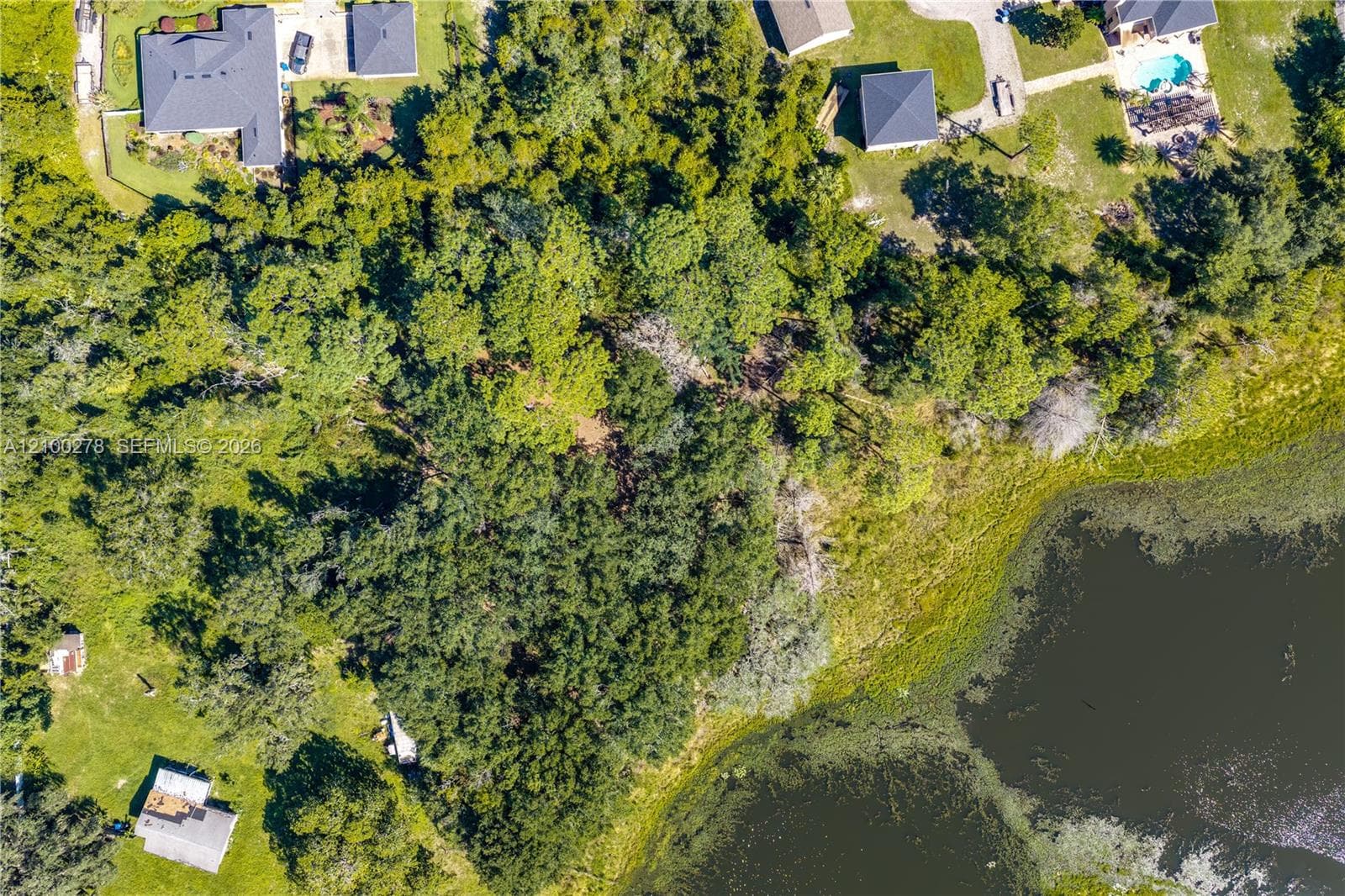 N/A DOYLE RD, Other City - In The State Of Florida FL 32764