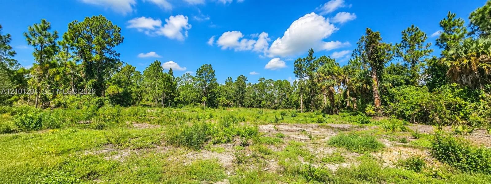 1221 ACACIA AVE, Lehigh Acres FL 33972