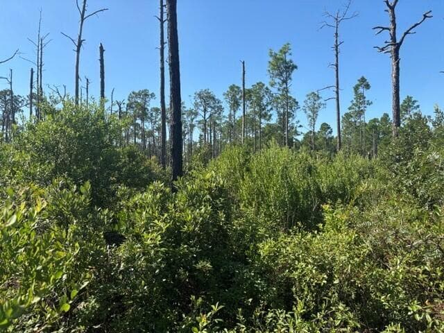 0 Hwy 630e, Frostproof FL 33843