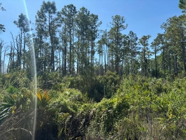 0 Hwy 630e, Frostproof FL 33843