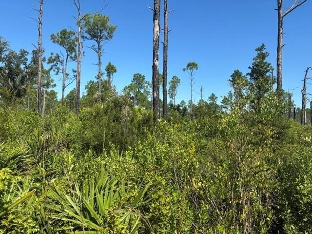 0 Hwy 630e, Frostproof FL 33843
