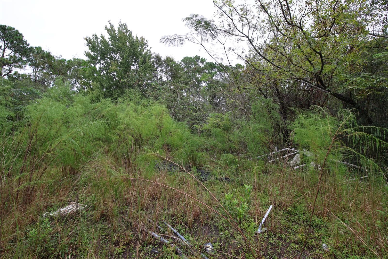 95003 Hendricks Rd, Fernandina Beach, FL