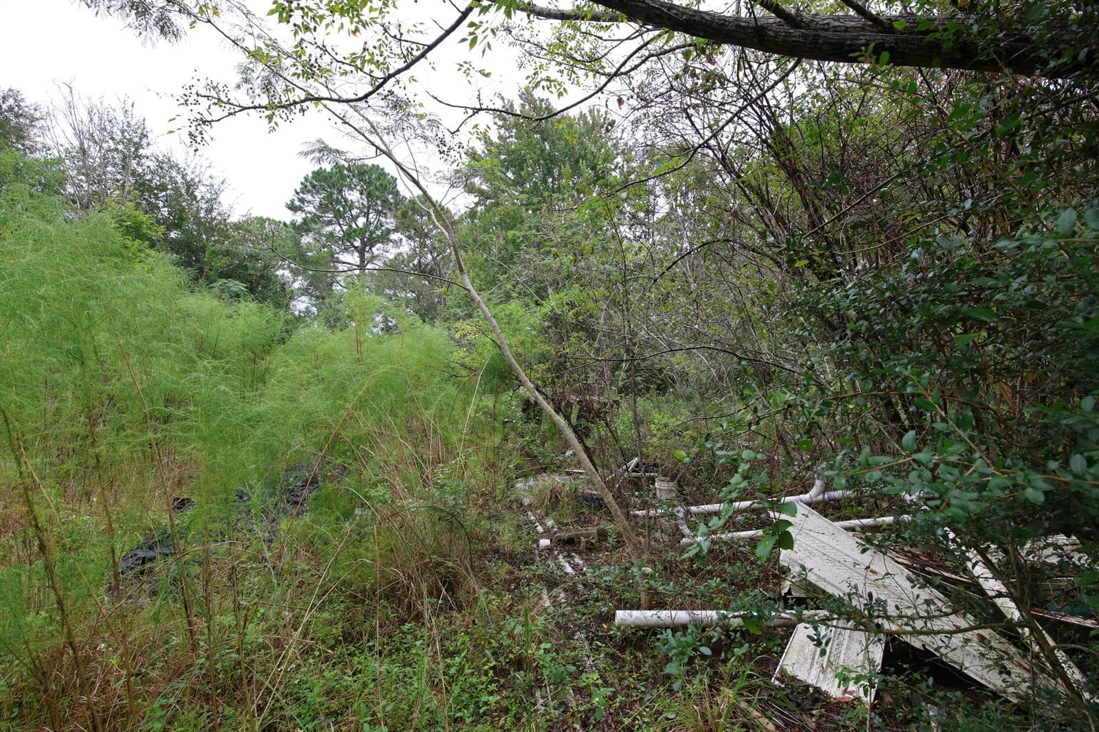 95003 Hendricks Rd, Fernandina Beach, FL