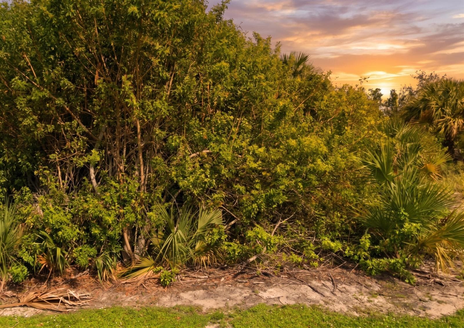 2300 42nd Street, Vero Beach FL 32967